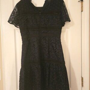 Ann Taylor Blue Lace Dress